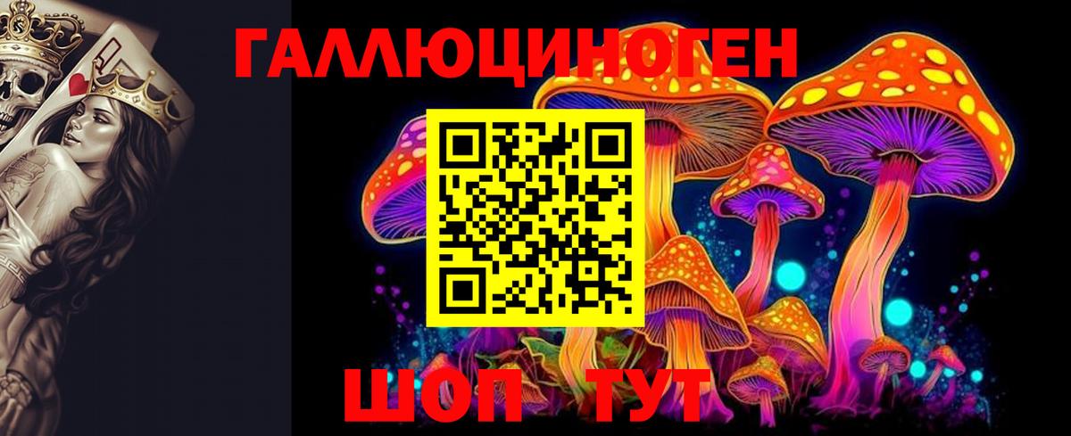Азов  Галлюциногенные грибы Cubensis  Вход с VPN 